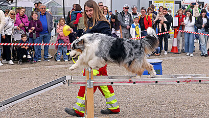 Abenteuer Maimarkt: Die Sonderschauen!
